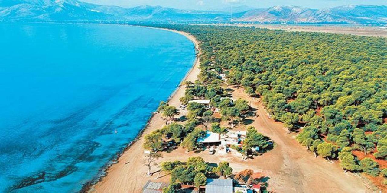 Villa House 200M From Sea Agios Andreas  المظهر الخارجي الصورة